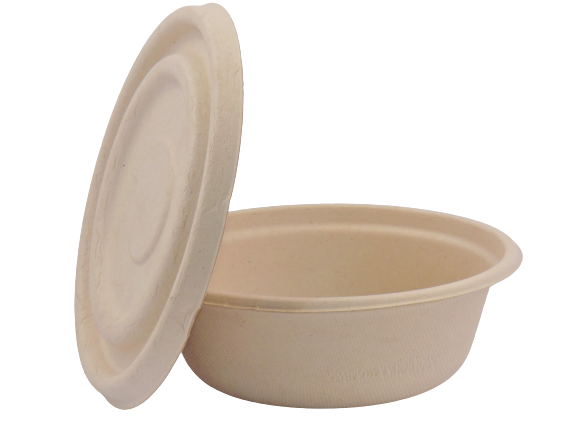 Takeaway Lid for Bowl 16Oz
